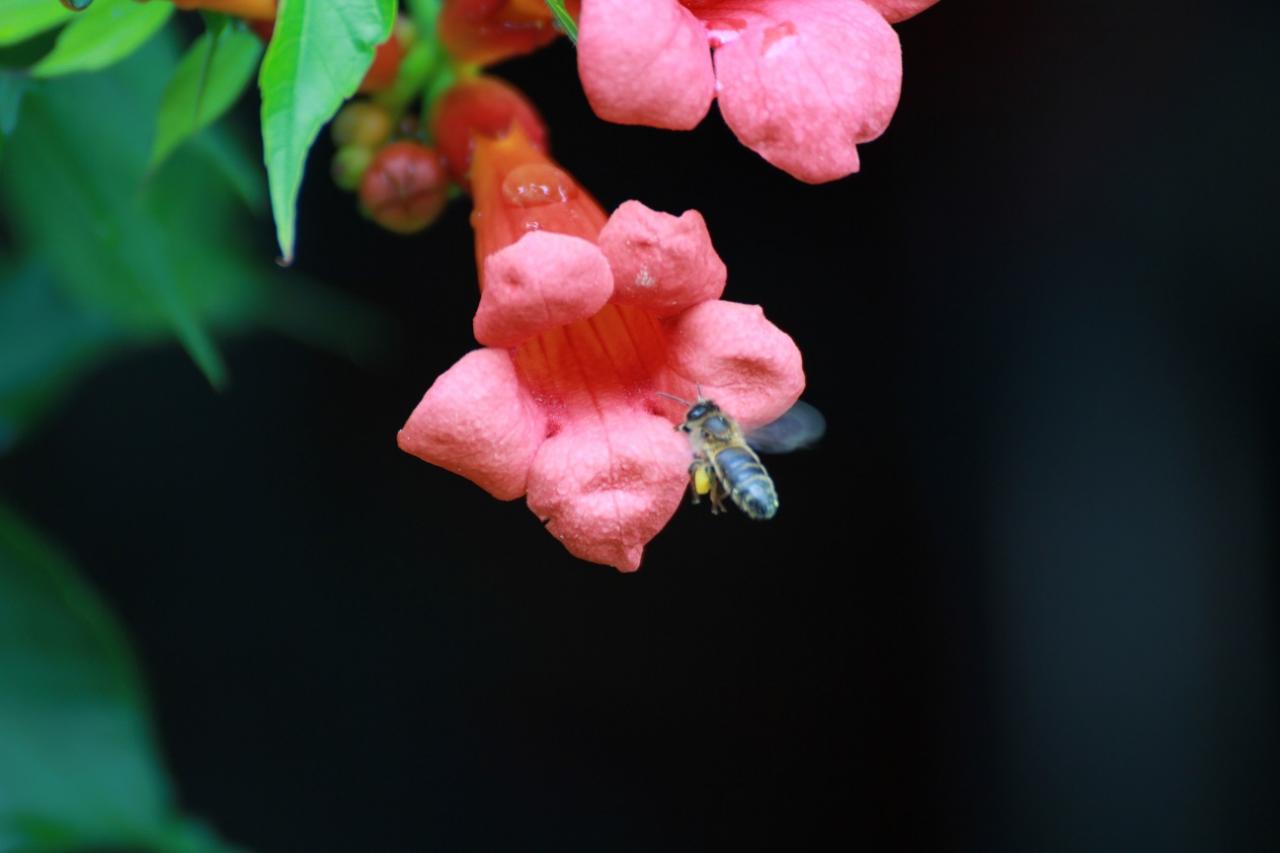 IMG_5101_2